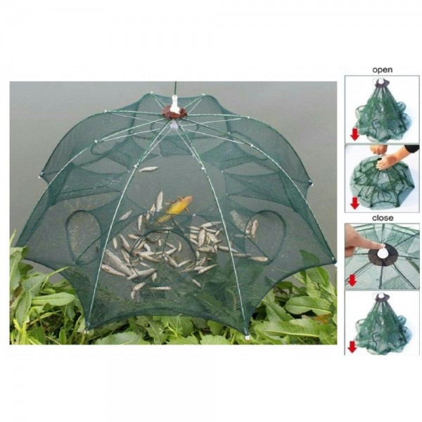 ΠΑΓΙΔΑ ΨΑΡΙΩΝ ΠΤΥΣΣΟΜΕΝΗ ΑΝΟΙΓΕΙ ΣΑΝ ΟΜΠΡΕΛΑ 20000-50